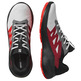 Chaussure de course Salomon Alphaglide GTX Gris/Rouge/Noir