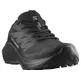 Chaussure Salomon Alphaglide GTX noire