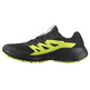 Chaussure de course Salomon Alphaglide GTX Noir/Vert citron