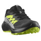 Chaussure de course Salomon Alphaglide GTX Noir/Vert citron