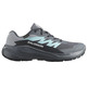 Chaussure Salomon Alphaglide GTX W Gris/Aigue-marine