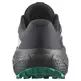 Chaussure Salomon Alphaglide GTX W Noir/Vert