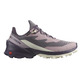 Chaussure Salomon Cross Over 2 GTX W Mauve