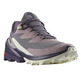Chaussure Salomon Cross Over 2 GTX W Mauve