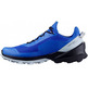 Chaussure Salomon Cross Over GTX Bleu