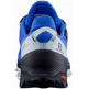 Chaussure Salomon Cross Over GTX Bleu