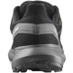 Chaussure Salomon Hypulse GTX Noir