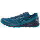 Zapatillas Salomon Sense Ride 2 Bleu/noir gtx