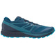 Zapatillas Salomon Sense Ride 2 Bleu/noir gtx