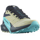 Chaussure Salomon Sense Ride 5 Bleu/Beige