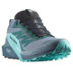Chaussure Salomon Sense Ride 5 GTX Aquamarine