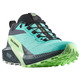 Chaussure Salomon Sense Ride 5 GTX W Bleu/Vert