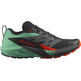 Chaussure Salomon Sense Ride 5 Nonir/Vert/Rouge