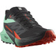 Chaussure Salomon Sense Ride 5 Nonir/Vert/Rouge