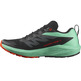 Chaussure Salomon Sense Ride 5 Nonir/Vert/Rouge