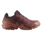 Chaussure Salomon Speedcross 6 GTX W Marron