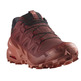 Chaussure Salomon Speedcross 6 GTX W Marron