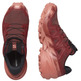 Chaussure Salomon Speedcross 6 GTX W Marron