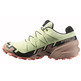 Chaussure Salomon Speedcross 6 GTX W Vert/Beige