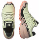 Chaussure Salomon Speedcross 6 GTX W Vert/Beige