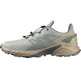Chaussure Salomon Supercross 4 GTX Beige/Métal