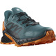 Chaussure Salomon Supercross 4 GTX Vert/Noir