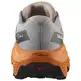 Chaussure Salomon Ultra Flow 2 GTX Gris/Orange