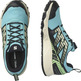 Chaussure Salomon Wander GTX W Bleu/Noir