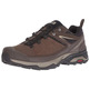 Zapatillas Salomon X Ultra 3 LTR GTX Maron