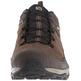 Zapatillas Salomon X Ultra 3 LTR GTX Maron