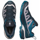 Chaussure Salomon X Ultra 360 GTX Bleu/Gris