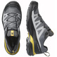 Chaussure Salomon X Ultra 360 GTX Gris/Moutarde