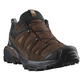 Chaussure Salomon X Ultra 360 Ltr Gtx Marron