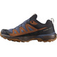 Chaussure Salomon X Ultra 360 Ltr Gtx Marron/Indigo