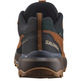 Chaussure Salomon X Ultra 360 Ltr Gtx Marron/Indigo