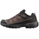 Chaussure Salomon X Ultra 360 Ltr Gtx W Marron