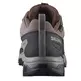Chaussures Salomon X Ultra 5 GTX Noir/Gris/Marron
