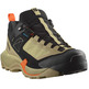 Chaussure Salomon X Ultra Alpine Gtx Beige/Noir