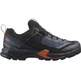 Chaussure Salomon X Ultra Alpine Gtx Noir