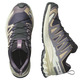 Chaussure Salomon XA PRO 3D GTX Violet/Beige