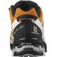 Chaussure Salomon XA PRO 3D v8 GTX Orange / Beige