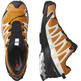 Chaussure Salomon XA PRO 3D v8 GTX Orange / Beige