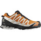 Chaussure Salomon XA PRO 3D v8 GTX Orange / Beige