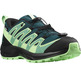 Chaussure Salomon XA PRO 3D V8 J Vert