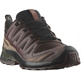 Chaussure Salomon XA PRO 3D V9 GTX marron