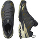Chaussure Salomon XA Pro 3D V9 GTX Gris/Olive