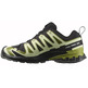 Chaussure Salomon XA PRO 3D V9 GTX Noir/Vert