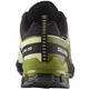 Chaussure Salomon XA PRO 3D V9 GTX Noir/Vert