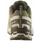 Chaussure Salomon XA PRO 3D V9 GTX Vert/Beige