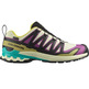 Chaussure Salomon XA PRO 3D V9 GTX W Multicolore